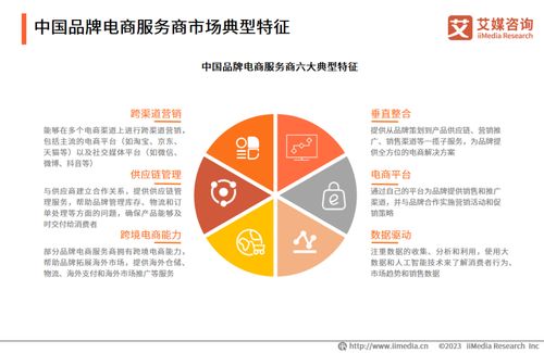 2023年中國品牌電商服務(wù)商行業(yè)深度解析 信息技術(shù)咨詢服務(wù)引領(lǐng)增長新引擎