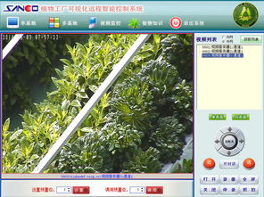 物聯(lián)網技術在霧培蔬菜工廠上的創(chuàng)新應用與研發(fā)進展